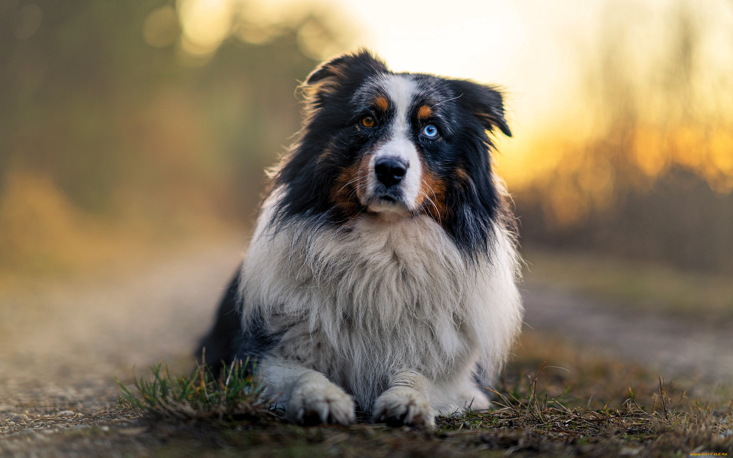 ��������, ������, ������, �������������, �������, ������������, �����, �����